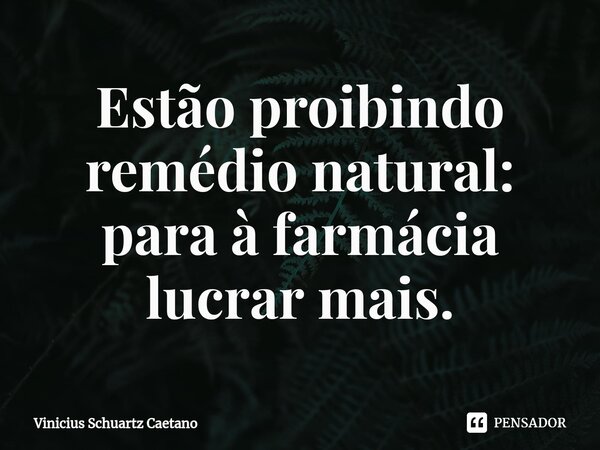 ⁠Estão proibindo remédio natural: para à farmácia lucrar mais.... Frase de Vinicius Schuartz Caetano.