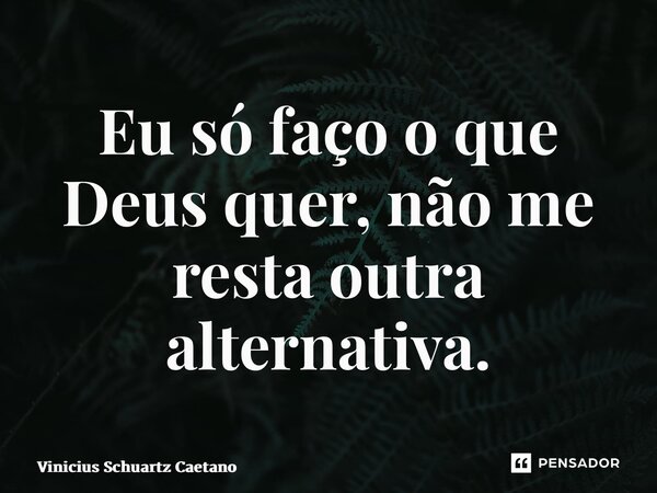 ⁠Eu só faço o que Deus quer, não me resta outra alternativa.... Frase de Vinicius Schuartz Caetano.