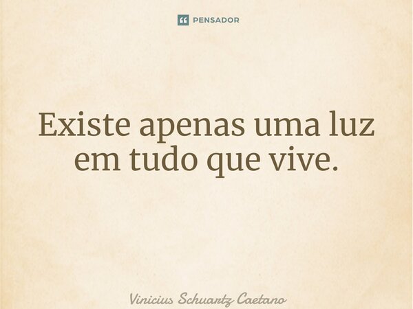 Existe apenas uma luz em tudo que vive. ⁠... Frase de Vinicius Schuartz Caetano.