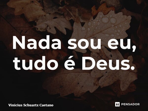 ⁠Nada sou eu, tudo é Deus.... Frase de Vinicius Schuartz Caetano.