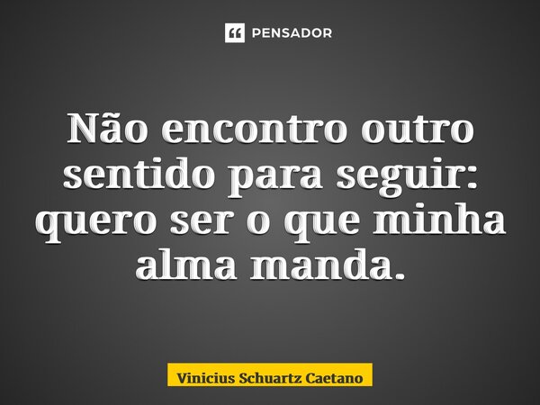 ⁠Não encontro outro sentido para seguir: quero ser o que minha alma manda.... Frase de Vinicius Schuartz Caetano.