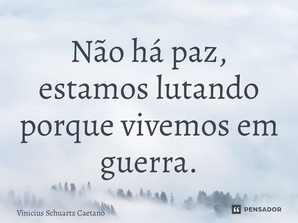 Não há paz, estamos lutando porque vivemos em guerra.... Frase de Vinicius Schuartz Caetano.