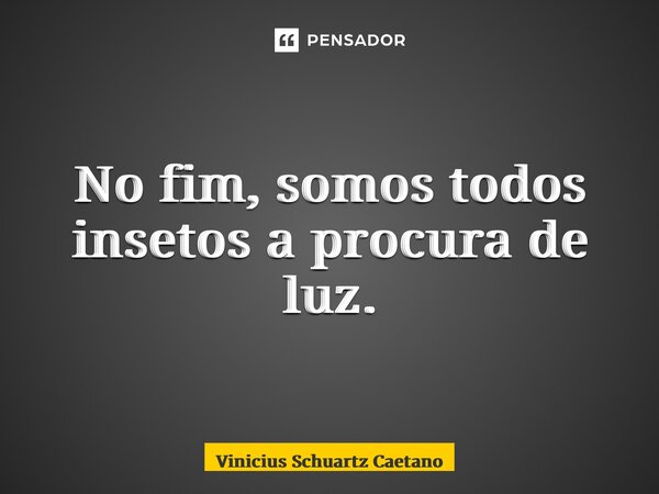 ⁠No fim, somos todos insetos a procura de luz.... Frase de Vinicius Schuartz Caetano.