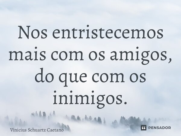 ⁠Nos entristecemos mais com os amigos, do que com os inimigos.... Frase de Vinicius Schuartz Caetano.