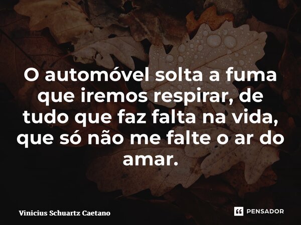 O automóvel solta a fuma que iremos respirar, de tudo que faz falta na vida, que só não me falte o ar do amar.... Frase de Vinicius Schuartz Caetano.