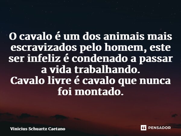 O cavalo é um dos animais mais escravizados pelo homem, este ser infeliz é condenado a passar a vida trabalhando. Cavalo livre é cavalo que nunca foi montado.... Frase de Vinicius Schuartz Caetano.