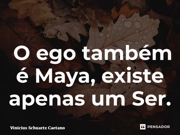 ⁠ O ego também é Maya, existe apenas um Ser.... Frase de Vinicius Schuartz Caetano.