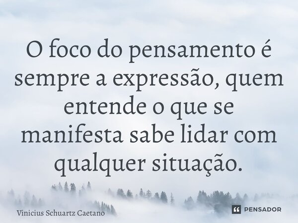 ⁠O foco do pensamento é sempre a expressão, quem entende o que se manifesta sabe lidar com qualquer situação.... Frase de Vinicius Schuartz Caetano.