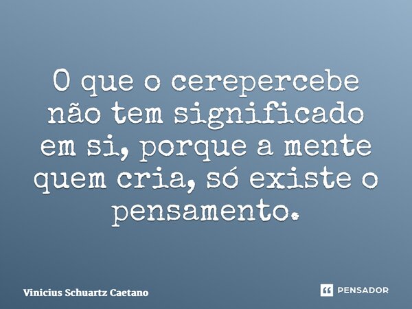 ⁠O que o cérebro percebe não tem significado em si, porque a mente quem cria, só existe o pensamento.... Frase de Vinicius Schuartz Caetano.