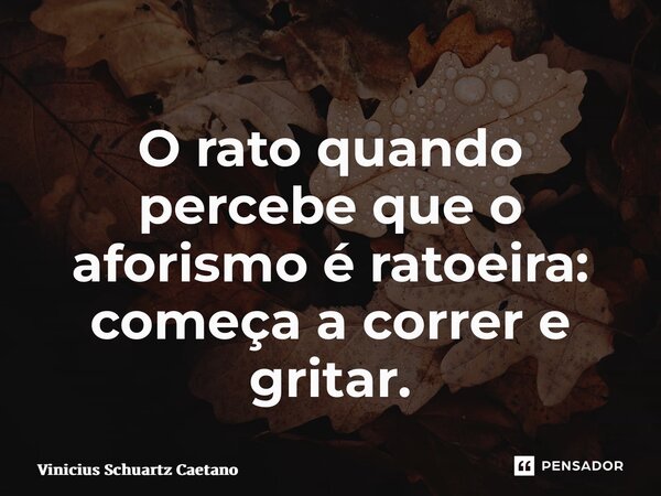 ⁠O rato quando percebe que o aforismo é ratoeira: começa a correr e gritar.... Frase de Vinicius Schuartz Caetano.