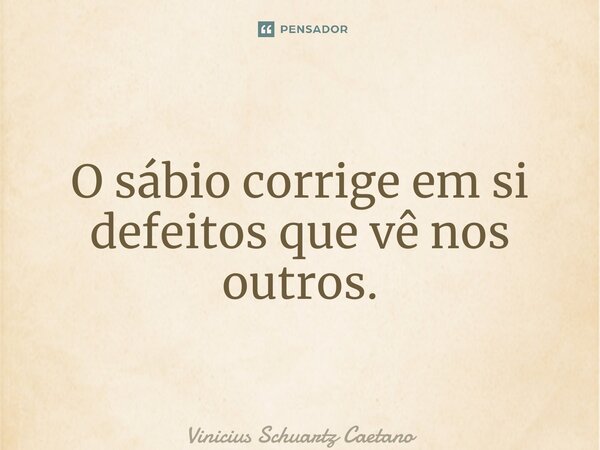 O sábio corrige em si defeitos que vê nos outros.... Frase de Vinicius Schuartz Caetano.