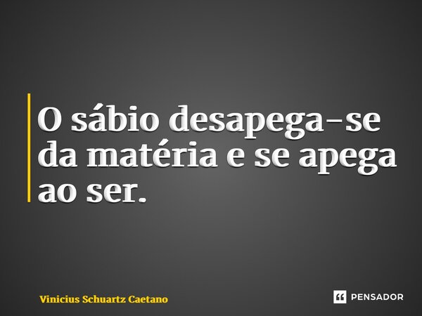 ⁠O sábio desapega-se da matéria e se apega ao ser.... Frase de Vinicius Schuartz Caetano.