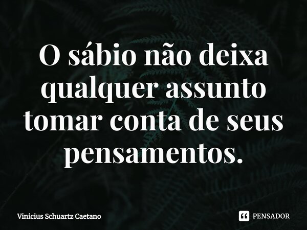 O sábio não deixa qualquer assunto tomar conta de seus pensamentos.... Frase de Vinicius Schuartz Caetano.