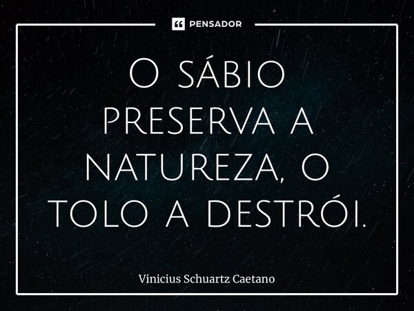 ⁠O sábio preserva a natureza, o tolo a destrói.... Frase de Vinicius Schuartz Caetano.