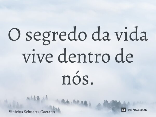 ⁠O segredo da vida vive dentro de nós.... Frase de Vinicius Schuartz Caetano.