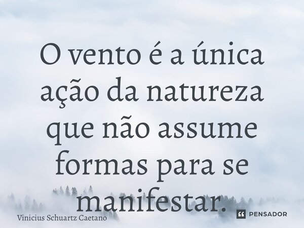 O vento é a única ação da natureza que não assume formas para se manifestar.... Frase de Vinicius Schuartz Caetano.