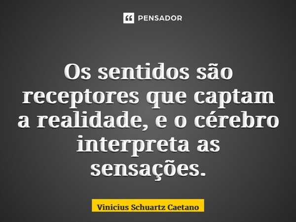 Os sentidos são receptores que captam a realidade, e o cérebro interpreta as sensações.... Frase de Vinicius Schuartz Caetano.