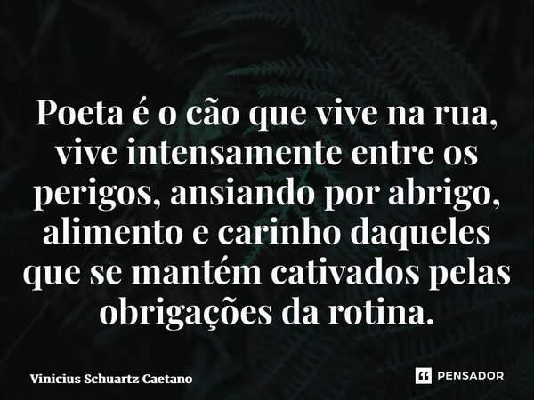 Poeta é o cão que vive na rua, vive intensamente entre os perigos, ansiando por abrigo, alimento e carinho daqueles que se mantém cativados pelas obrigações da ... Frase de Vinicius Schuartz Caetano.