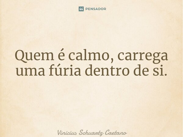 Quem é calmo, carrega uma fúria dentro de si. ⁠... Frase de Vinicius Schuartz Caetano.