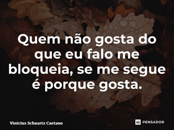 ⁠Quem não gosta do que eu falo me bloqueia, se me segue é porque gosta.... Frase de Vinicius Schuartz Caetano.