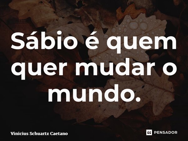 ⁠Sábio é quem quer mudar o mundo.... Frase de Vinicius Schuartz Caetano.