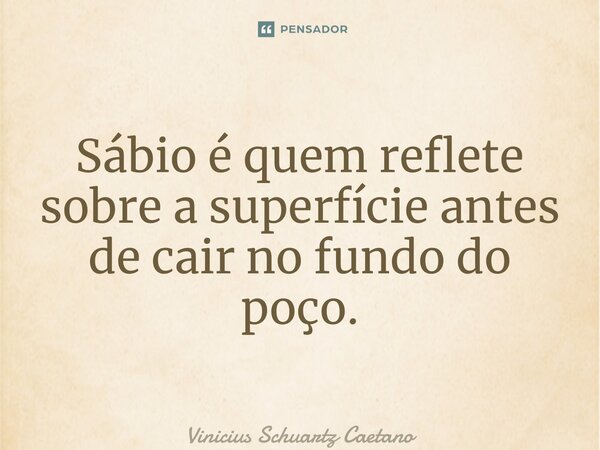 ⁠Sábio é quem reflete sobre a superfície antes de cair no fundo do poço.⁠... Frase de Vinicius Schuartz Caetano.