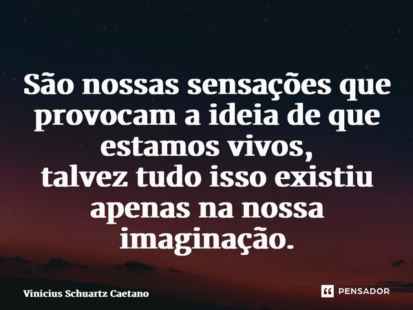 ⁠São nossas sensações que provocam a ideia de que estamos vivos, talvez tudo isso existiu apenas na nossa imaginação.... Frase de Vinicius Schuartz Caetano.