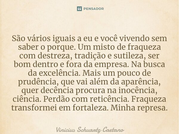 São vários iguais a eu e você vivendo sem saber o porque. Um misto de fraqueza com destreza, tradição e sutileza, ser bom dentro e fora da empresa. Na busca da... Frase de Vinicius Schuartz Caetano.