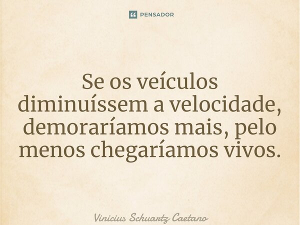 ⁠Se os veículos diminuíssem a velocidade, demoraríamos mais, pelo menos chegaríamos vivos.... Frase de Vinicius Schuartz Caetano.