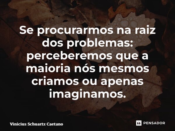 Se procurarmos na raiz dos problemas: perceberemos que a maioria nós mesmos criamos ou apenas imaginamos.... Frase de Vinicius Schuartz Caetano.