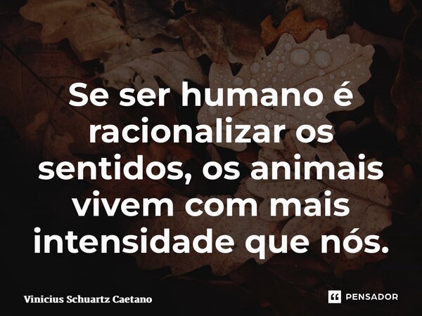 ⁠Se ser humano é racionalizar os sentidos, os animais vivem com mais intensidade que nós.... Frase de Vinicius Schuartz Caetano.