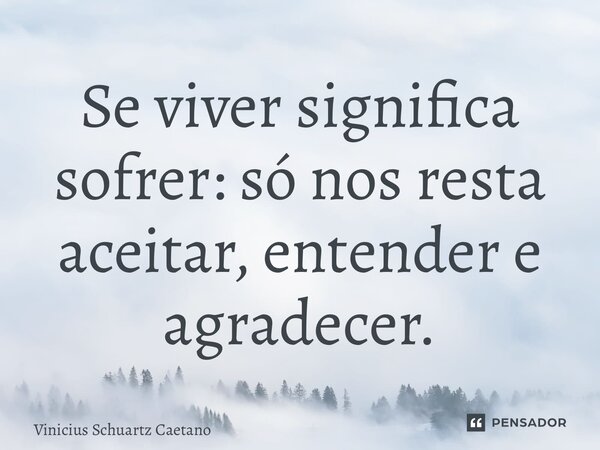 ⁠Se viver significa sofrer: só nos resta aceitar, entender e agradecer.... Frase de Vinicius Schuartz Caetano.