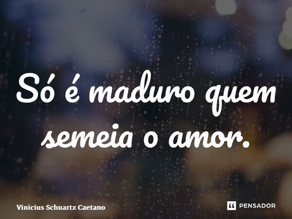 ⁠Só é maduro quem semeia o amor.... Frase de Vinicius Schuartz Caetano.