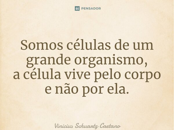 ⁠Somos células de um grande organismo, a célula vive pelo corpo e não por ela.... Frase de Vinicius Schuartz Caetano.