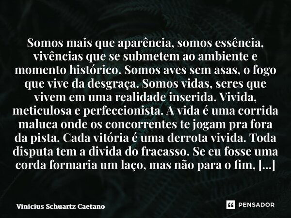 ⁠Somos mais que aparência, somos essência, vivências que se submetem ao ambiente e momento histórico. Somos aves sem asas, o fogo que vive da desgraça. Somos vi... Frase de Vinicius Schuartz Caetano.