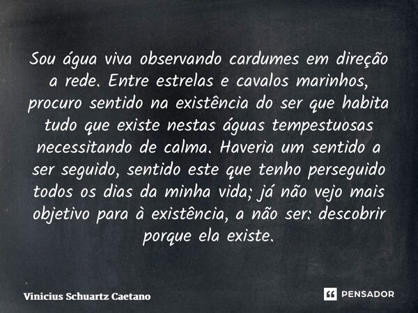 ⁠Sou água viva observando cardumes em direção a rede. Entre estrelas e cavalos marinhos, procuro sentido na existência do ser que habita tudo que existe nestas ... Frase de Vinicius Schuartz Caetano.