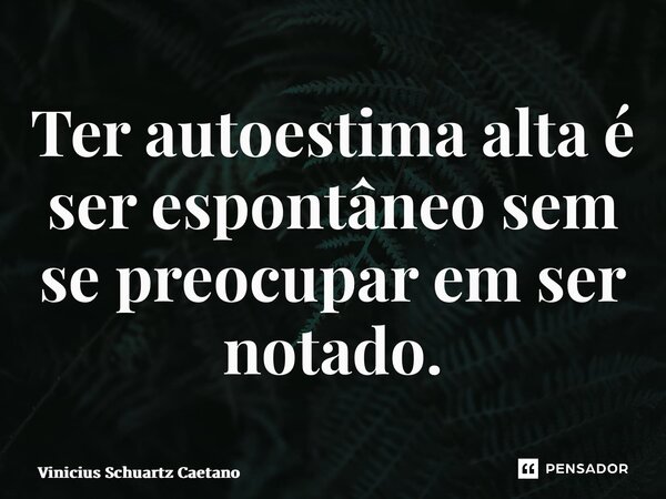 ⁠Ter autoestima alta é ser espontâneo sem se preocupar em ser notado.... Frase de Vinicius Schuartz Caetano.