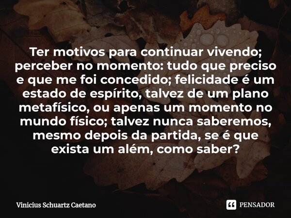 ⁠Ter motivos para continuar vivendo; perceber no momento: tudo que preciso e que me foi concedido; felicidade é um estado de espírito, talvez de um plano metafí... Frase de Vinicius Schuartz Caetano.