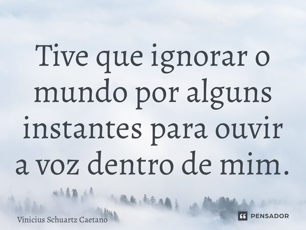 ⁠Tive que ignorar o mundo por alguns instantes para ouvir a voz dentro de mim.... Frase de Vinicius Schuartz Caetano.