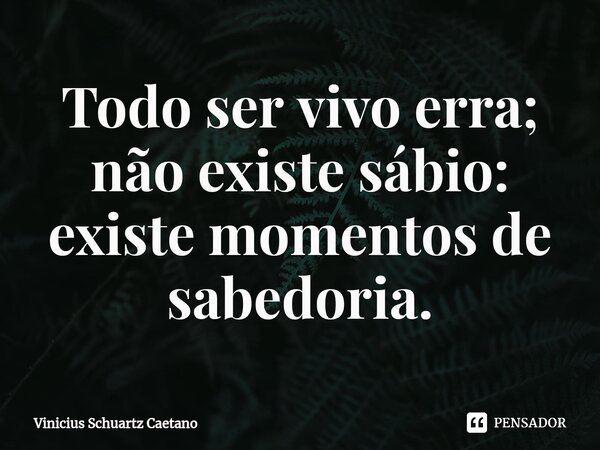 ⁠Todo ser vivo erra; não existe sábio: existe momentos de sabedoria.... Frase de Vinicius Schuartz Caetano.