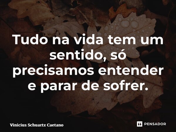 Tudo na vida tem um sentido, só precisamos entender e parar de sofrer.... Frase de Vinicius Schuartz Caetano.