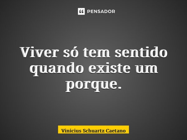 Viver só tem sentido quando existe um porque.... Frase de Vinicius Schuartz Caetano.
