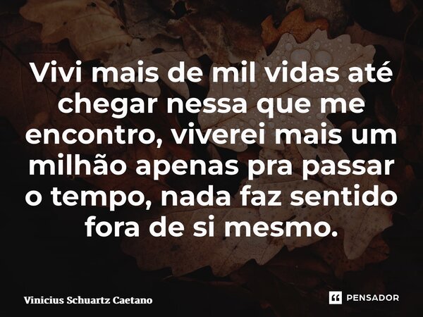 ⁠Vivi mais de mil vidas até chegar nessa que me encontro, viverei mais um milhão apenas pra passar o tempo, nada faz sentido fora de si mesmo.... Frase de Vinicius Schuartz Caetano.