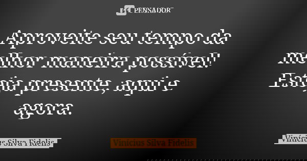 Aproveite seu tempo da melhor maneira possível! Esteja presente, aqui e agora.... Frase de Vinícius Silva Fidelis.