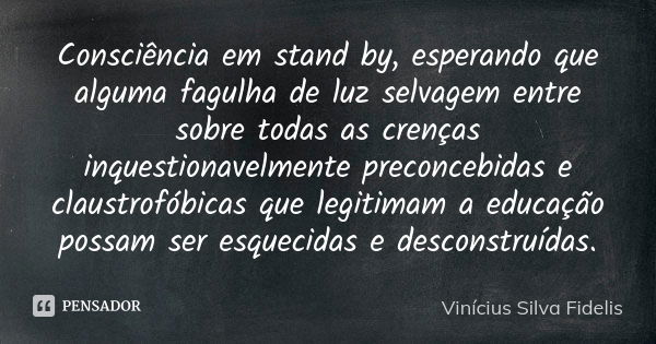 Consciência em stand by, esperando que alguma fagulha de luz selvagem entre sobre todas as crenças inquestionavelmente preconcebidas e claustrofóbicas que legit... Frase de Vinicius Silva Fidelis.