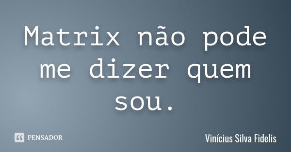 Matrix não pode me dizer quem sou.... Frase de Vinícius Silva Fidelis.