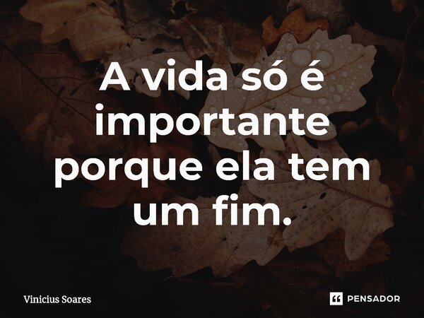 A vida só é importante porque ela tem um fim.... Frase de Vinícius soares.