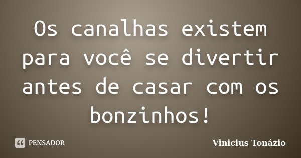 Os canalhas existem para você se divertir antes de casar com os bonzinhos!... Frase de Vinicius Tonázio.