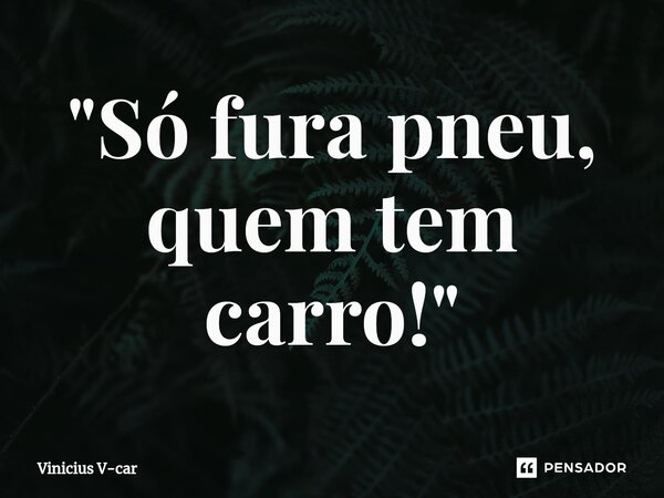 "Só fura pneu, quem tem carro!"⁠... Frase de Vinicius V-car.