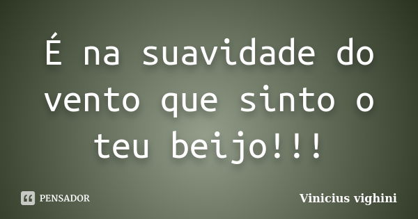 É na suavidade do vento que sinto o teu beijo!!!... Frase de Vinicius Vighini.